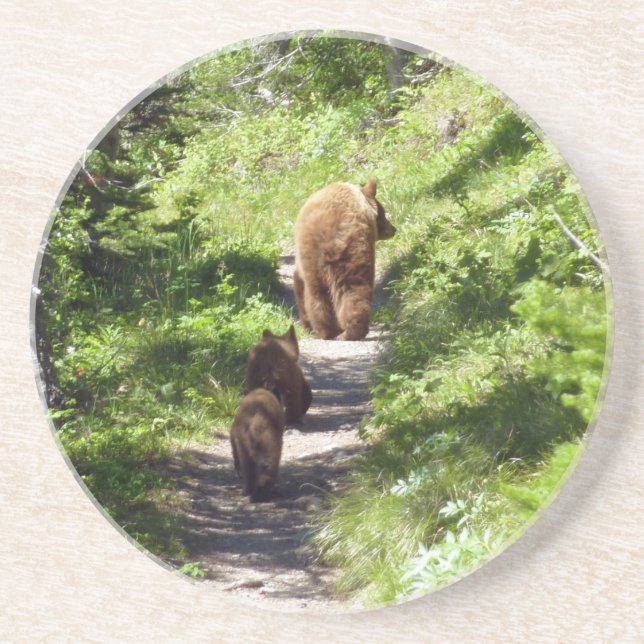 Brown Bear Family Underlägg (Framsidan)