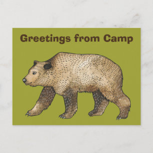 Brown Bear Hälsning från Camp Postcard Vykort
