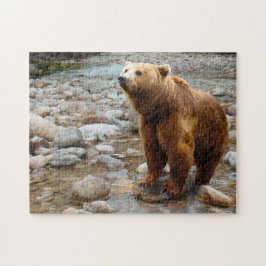 Brown Bear in Stream Pussel