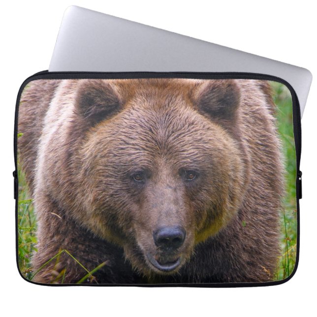 Brown Bear Laptop sleeve (Framsidan)