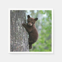 Brown Bear Unge Träd Photo