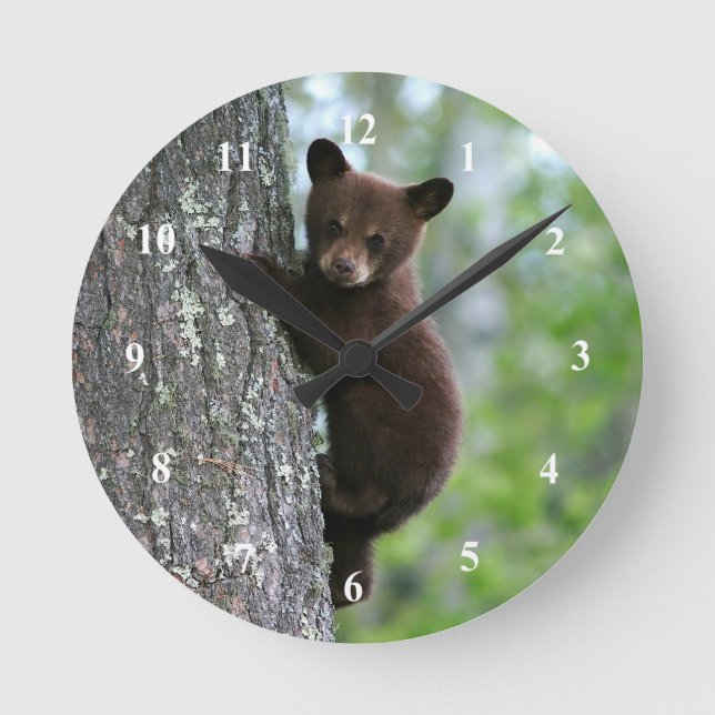 Brown Bear Unge Träd Photo Rund Klocka (Framsida)