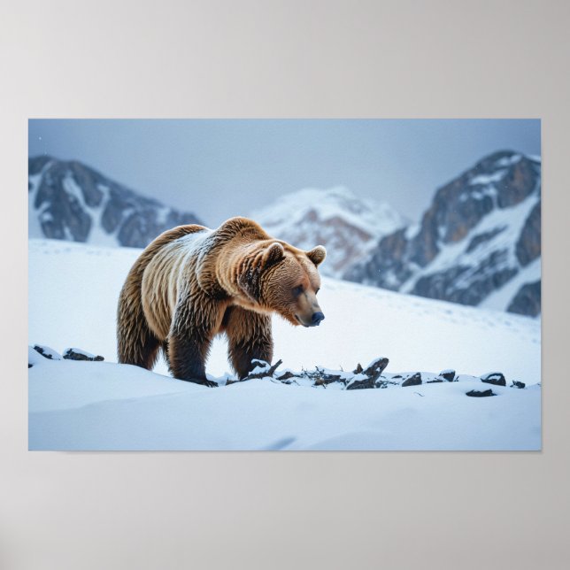 Brown Bear Winter Scenery Poster (Framsidan)