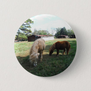 Brown Blond, två Miniature Horses, Little Pony Knapp