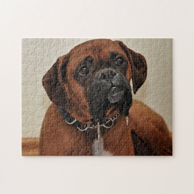 Brown boxer hund pussel (Horisontell)