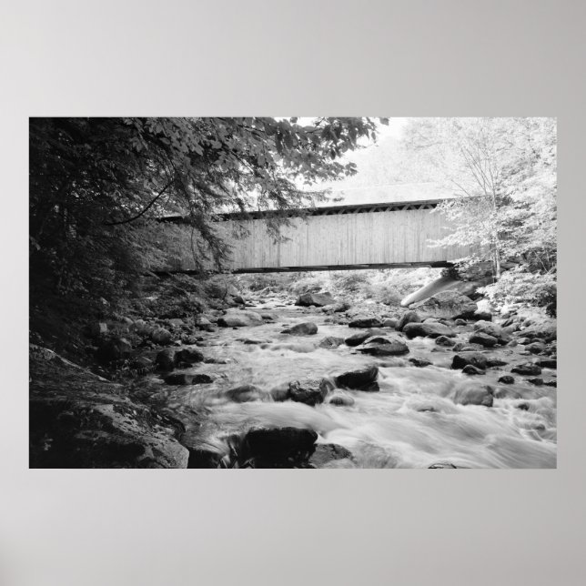 Brown Bridge Poster (Framsidan)
