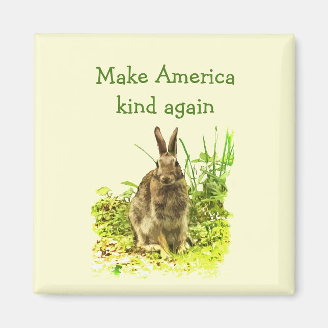 Brown Bunny Rabbit gör Amerika till en annan Magne Magnet (Framsidan)