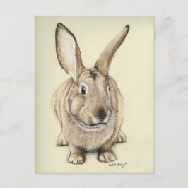 "Brown Bunny" vykort för djurkonst