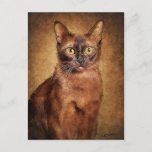 Brown Burmese Cat Helg Vykort