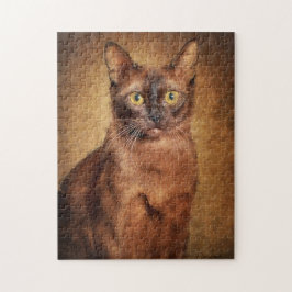 Brown Burmese Cat Porträtt Pussel