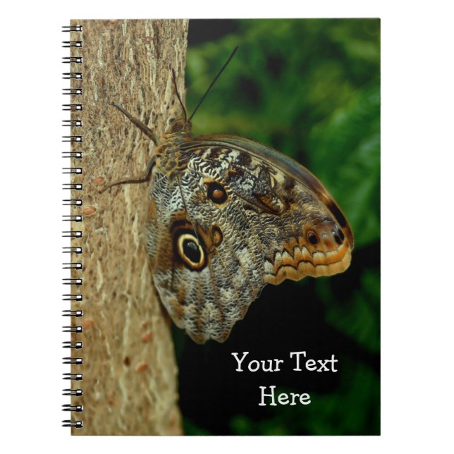 Brown Butterfly Nature Art Anteckningsbok Med Spiral (Framsidan)