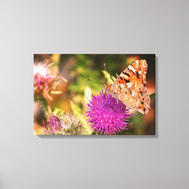 Brown Butterfly Rosa Thorn Photo Kanvastryck (Framsida)