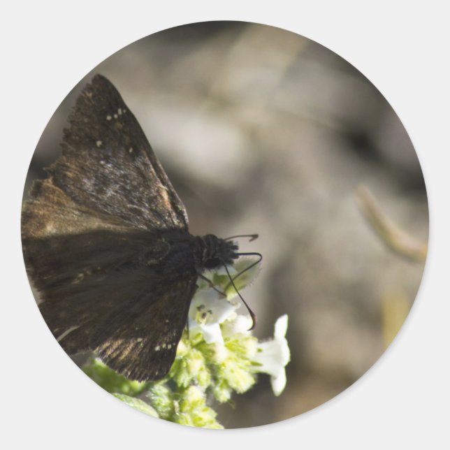 Brown Butterfly Runt Klistermärke (Framsida)