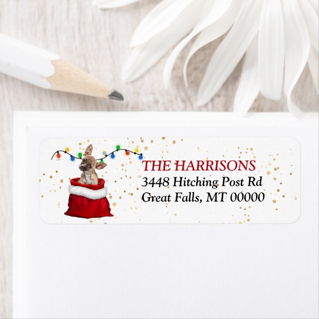 Brown Chihuahau Puppy in Gift Bag Returadress Returadress Etikett (Insitu)