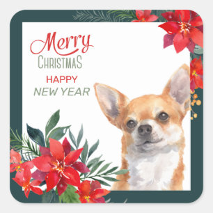 Brown Chihuahua Hund Poinsettia Gräns jul Fyrkantigt Klistermärke