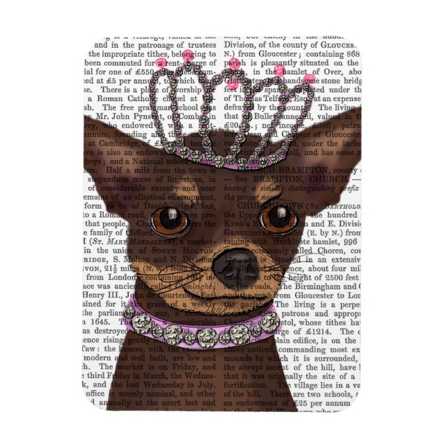 Brown Chihuahua och Tiara Magnet (Vertikal)