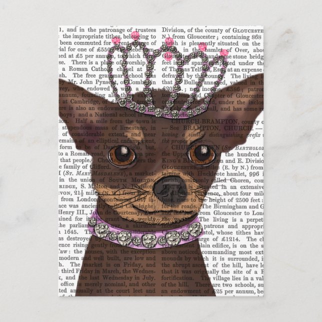 Brown Chihuahua och Tiara Vykort (Framsida)