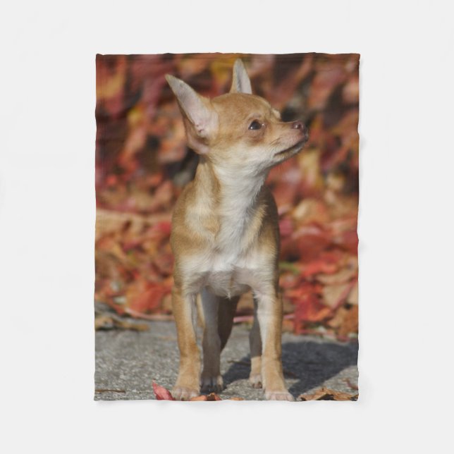 Brown Chihuahua Puppy Fleecefilt (Framsidan)