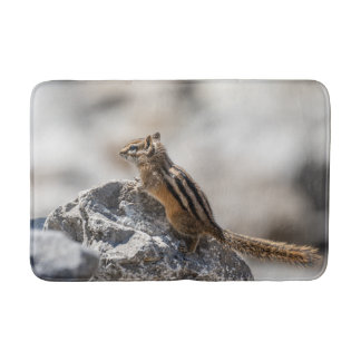 Brown Chipmunk Wildlife Photography Badrumsmatta