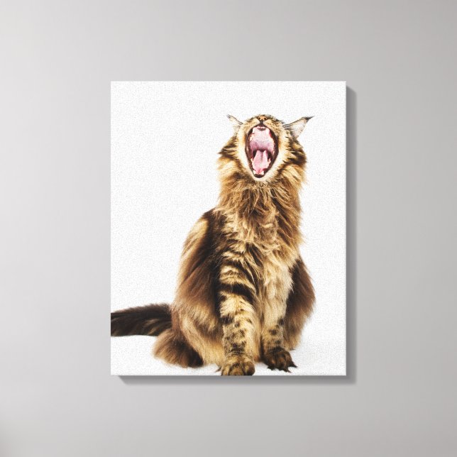Brown Classic Main Coon Tabby Canvastryck (Framsida)
