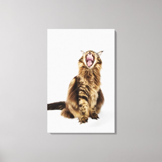 Brown Classic Main Coon Tabby Canvastryck (Framsida)