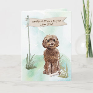 Brown Cockapoo-Grattisar på New Hund Kort