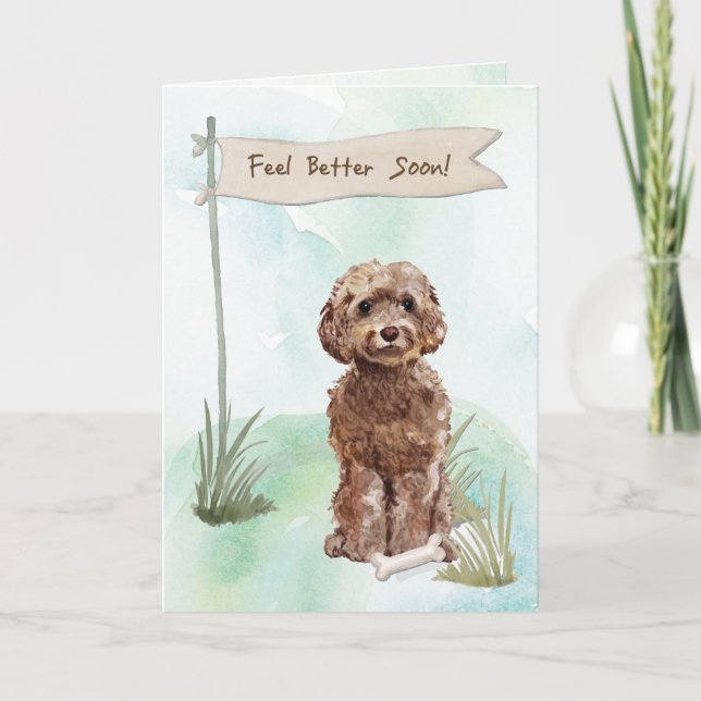 Brown Cockapoo känner sig bättre efter kirurgi til Kort (Framsida)