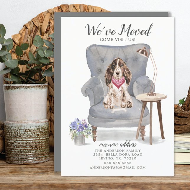 Brown Cocker Spain Hund | Meddelande om Flytta (Skapare uppladdad)