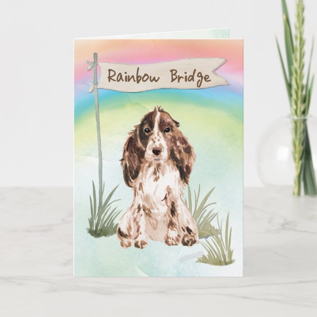 Brown Cocker Spain Pet Sympathy over Rainbow Kort (Framsida)