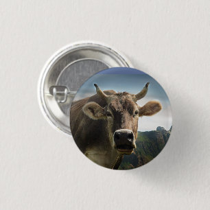 Brown Cow Ansikte Knapp
