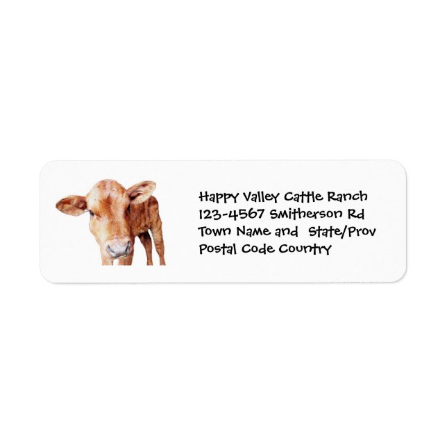 Brown Cow Cattle Farm eller Ranch Sticker Returadress Etikett (Framsidan)