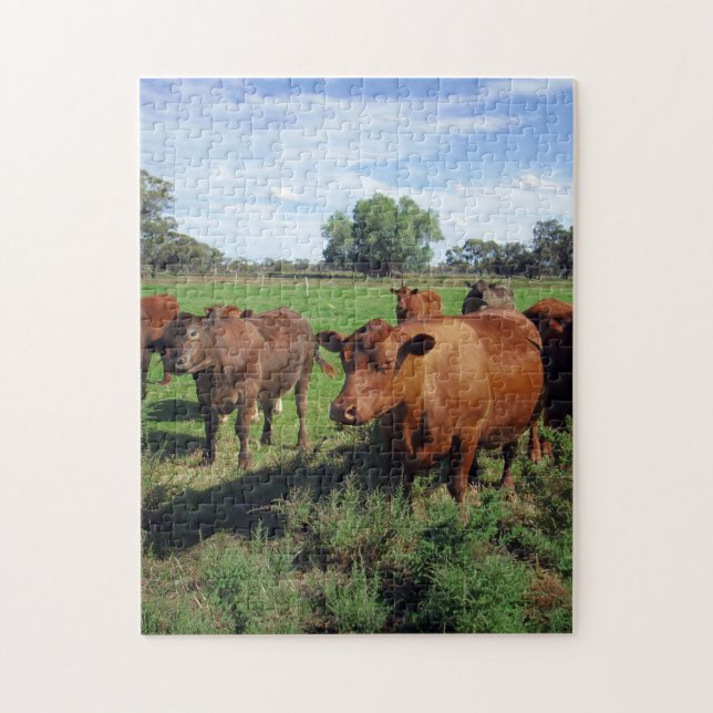 Brown Cow Herd Pussel (Vertikal)