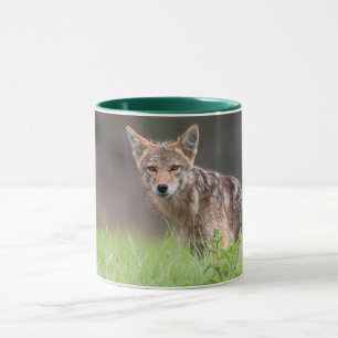 Brown Coyote, kanadensiskt djurfoto Mugg