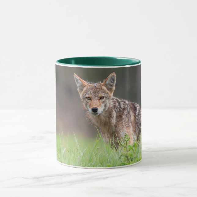 Brown Coyote, kanadensiskt djurfoto Mugg (Center)