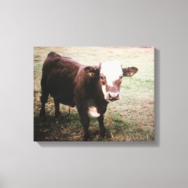 Brown Cream Cow Canvastryck (Framsida)