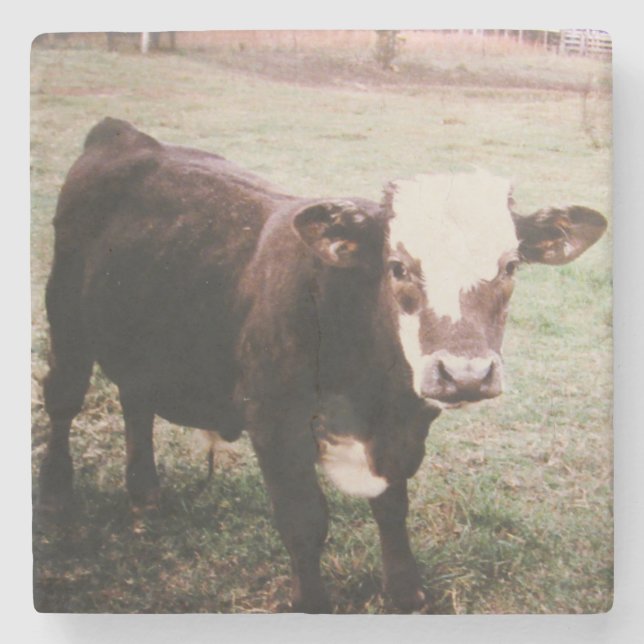 Brown Cream Cow Stenunderlägg (Framsidan)