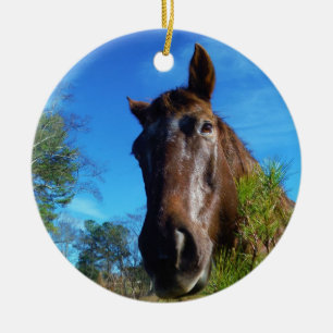 Brown & Cream Färgad Horse blå himmel Julgransprydnad Keramik