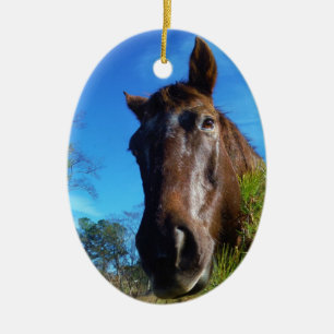 Brown & Cream Färgad Horse blå himmel Julgransprydnad Keramik