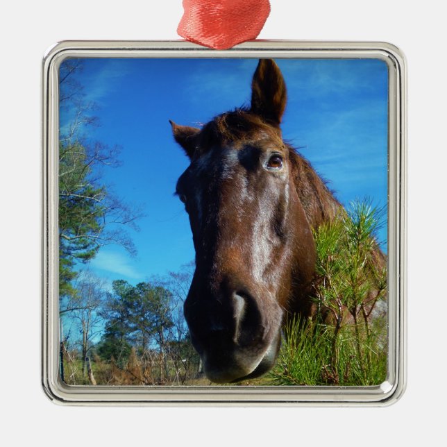 Brown & Cream Färgad Horse blå himmel Julgransprydnad Metall (Framsidan)