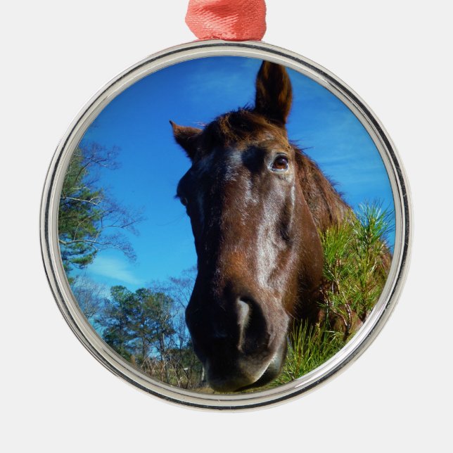 Brown & Cream Färgad Horse blå himmel Julgransprydnad Metall (Framsidan)