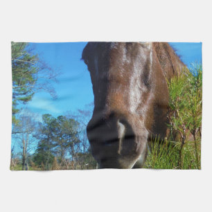 Brown & Cream Färgad Horse blå himmel Kökshandduk