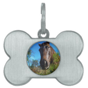 Brown & Cream Färgad Horse blå himmel Namnbricka Husdjur
