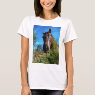 Brown & Cream Färgad Horse blå himmel Tee Shirt