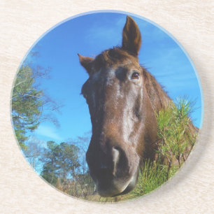 Brown & Cream Färgad Horse blå himmel Underlägg