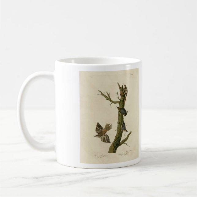 Brown Creeper, Pygmy Nuthatch från Audubon's Birds Kaffemugg (Vänster)