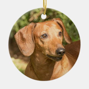 Brown Dachshund Doxie Hund Julgransprydnad Keramik
