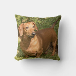 Brown Dachshund - Doxie Kudde