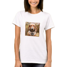 Brown Dachshund Hund med Ögon stängt