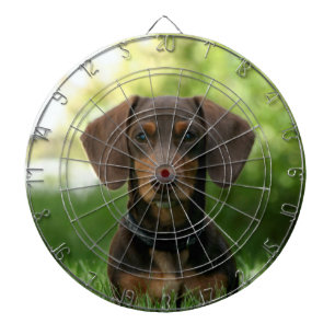 Brown Dachshund Puppy Darttavla