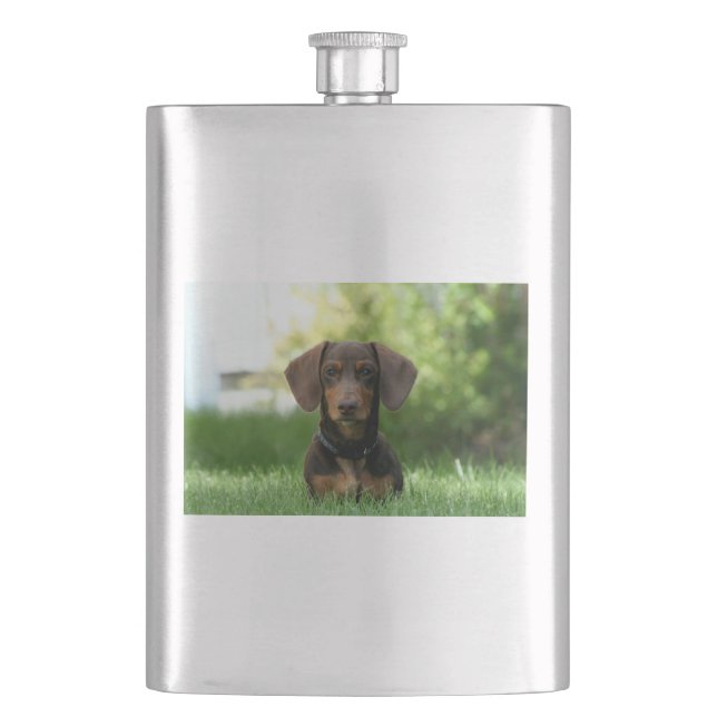 Brown Dachshund Puppy Fickplunta (Framsidan)